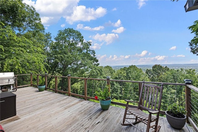 1317 Skyline Dr, Russellville, AR 72802 - photo 2