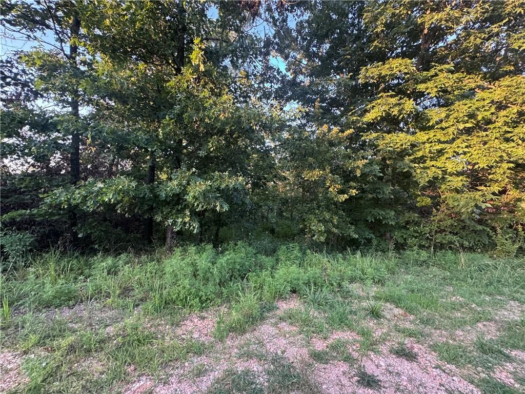 Kinross Dr, Bella Vista, AR 72715 - photo 2