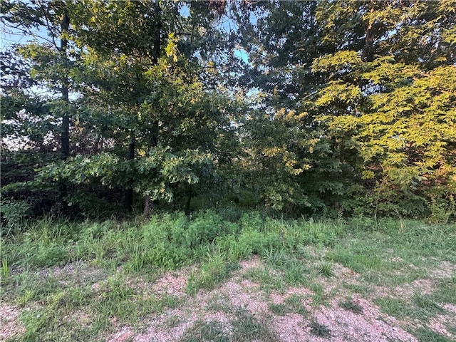 Kinross Dr, Bella Vista, AR 72715 - photo 2