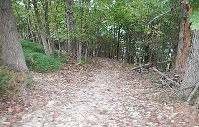 14551 Point Virgo Rd, Rogers, AR 72756 - photo 4