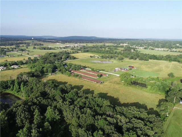 208 S Wedington Blacktop Rd, Lincoln, AR 72744 - photo 17