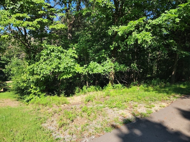 LOT2 Lyneham Ln, Bella Vista, AR 72714 - photo 1