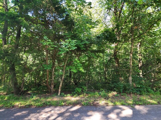 LOT2 Lyneham Ln, Bella Vista, AR 72714 - photo 2