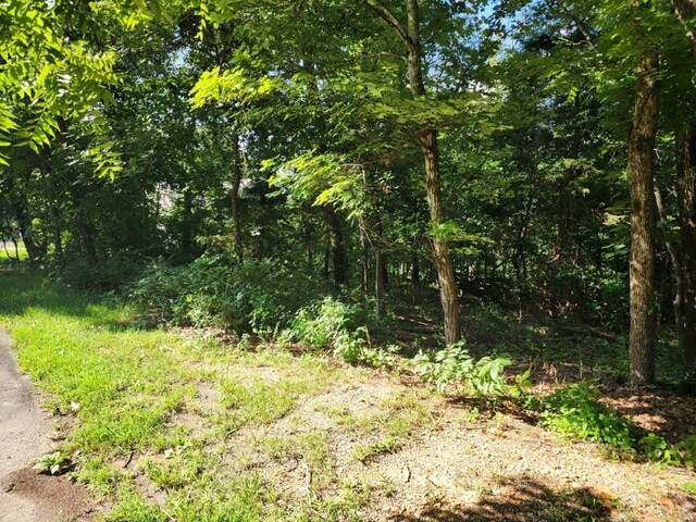 LOT2 Lyneham Ln, Bella Vista, AR 72714 - photo 3