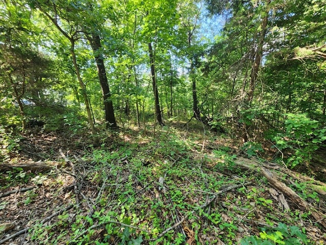 LOT2 Lyneham Ln, Bella Vista, AR 72714 - photo 4
