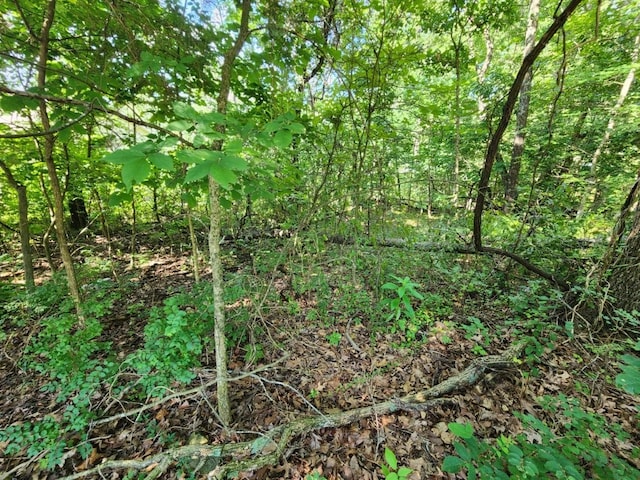 LOT2 Lyneham Ln, Bella Vista, AR 72714 - photo 5