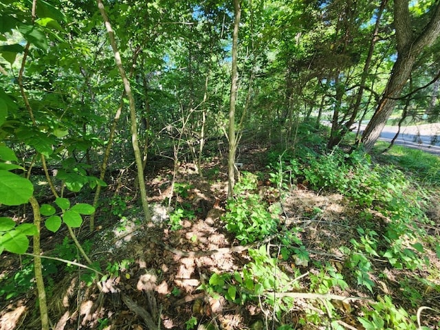 LOT2 Lyneham Ln, Bella Vista, AR 72714 - photo 6