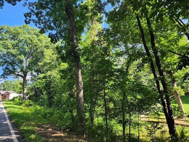 LOT2 Lyneham Ln, Bella Vista, AR 72714 - photo 7