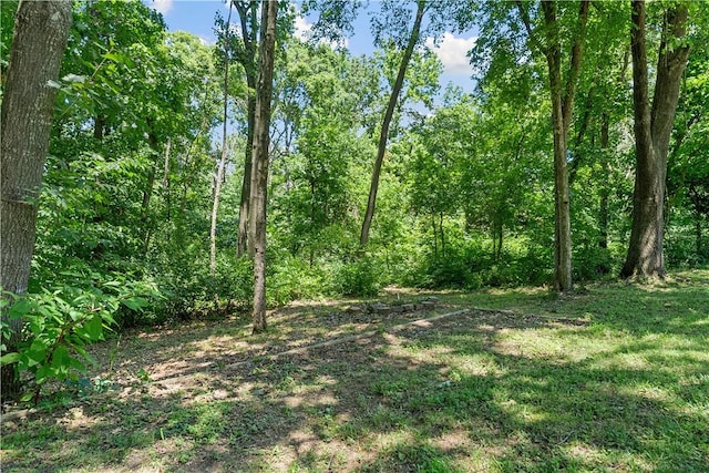 504 Old Forge Dr, Bentonville, AR 72712 - photo 51