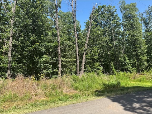 Spilsby Ln, Bella Vista, AR 72714 - photo 4
