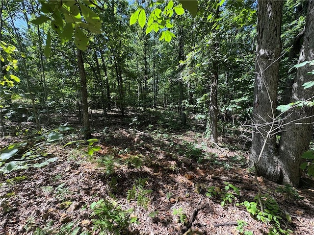 Spilsby Ln, Bella Vista, AR 72714 - photo 5