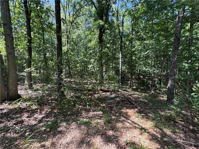 Spilsby Ln, Bella Vista, AR 72714 - photo 6