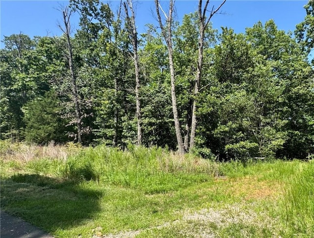 Spilsby Ln, Bella Vista, AR 72714 - photo 7