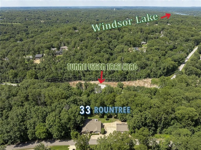 33 Rountree Dr, Bella Vista, AR 72715 - photo 39
