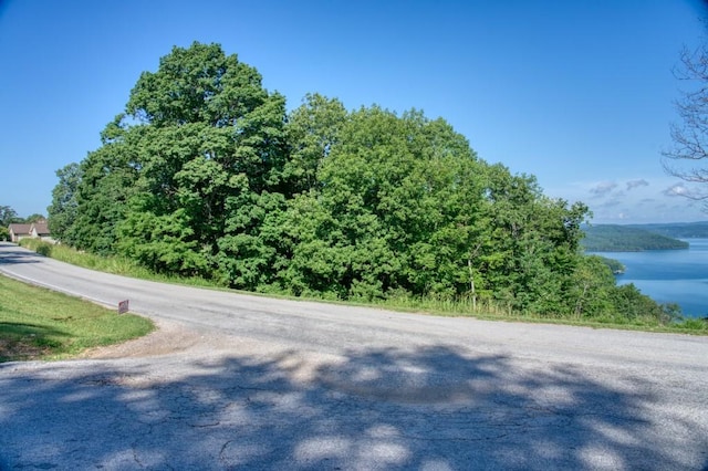 Mundell Rd, Eureka Springs, AR 72631 - photo 2