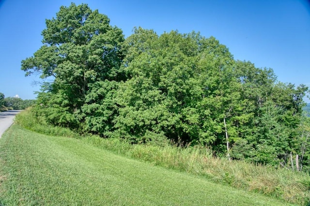 Mundell Rd, Eureka Springs, AR 72631 - photo 4