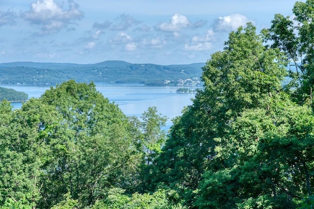 Mundell Rd, Eureka Springs, AR 72631 - photo 5