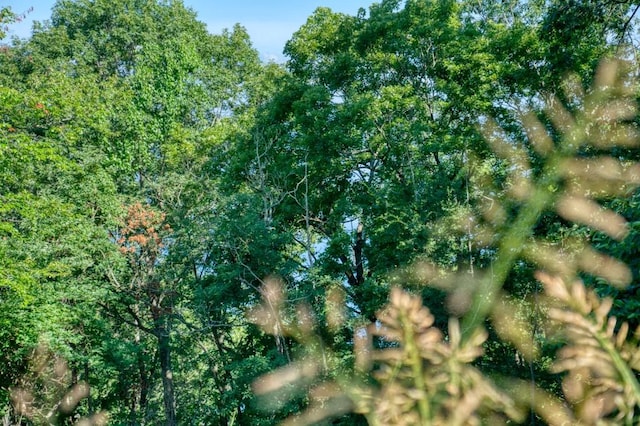 Mundell Rd, Eureka Springs, AR 72631 - photo 6