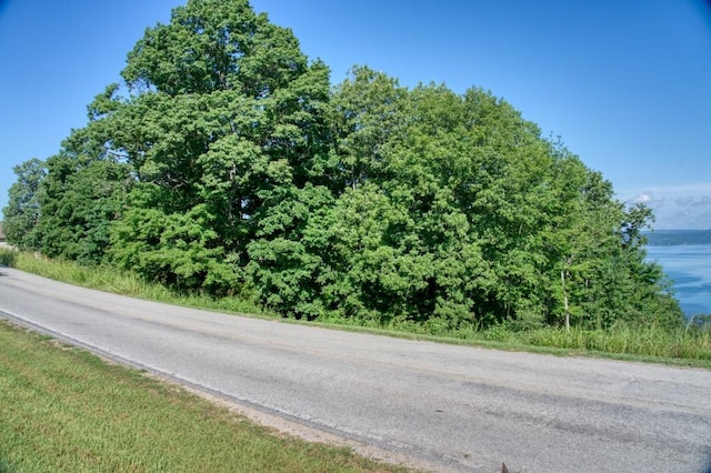 Mundell Rd, Eureka Springs, AR 72631 - photo 7