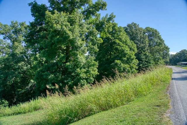 Mundell Rd, Eureka Springs, AR 72631 - photo 8