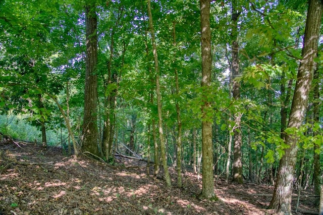 Mundell Rd, Eureka Springs, AR 72631 - photo 10