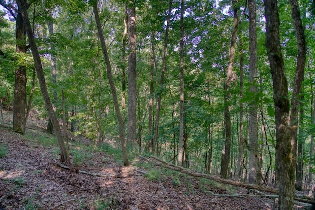 Mundell Rd, Eureka Springs, AR 72631 - photo 11