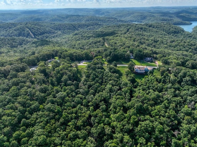 Mundell Rd, Eureka Springs, AR 72631 - photo 12