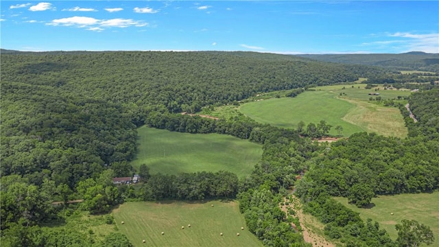 1724 Madison 5310, Witter, AR 72776 - photo 8