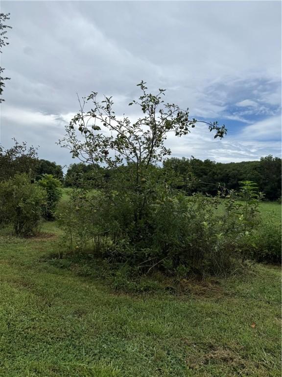 1724 Madison 5310, Witter, AR 72776 - photo 29