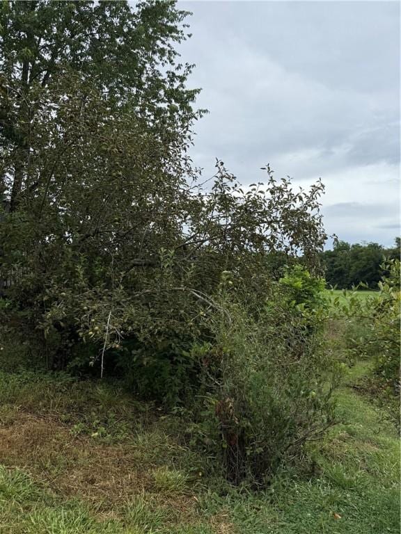 1724 Madison 5310, Witter, AR 72776 - photo 30
