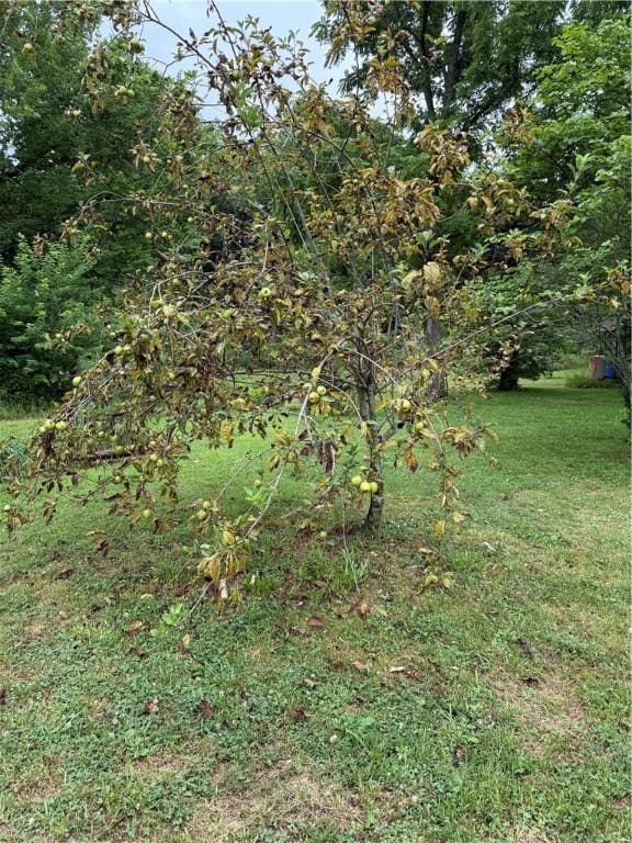 1724 Madison 5310, Witter, AR 72776 - photo 31