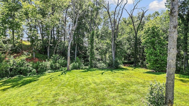 2609 NE Waterfall Ave, Bentonville, AR 72713
