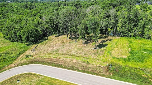 2609 NE Waterfall Ave, Bentonville, AR 72713