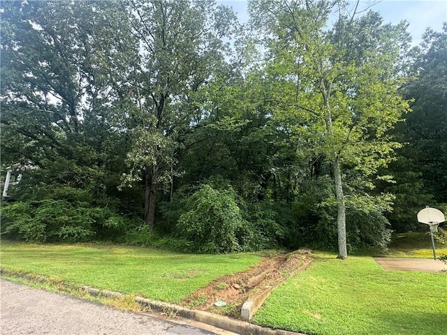 809 18th Ter, Russellville, AR 72801 - photo 2