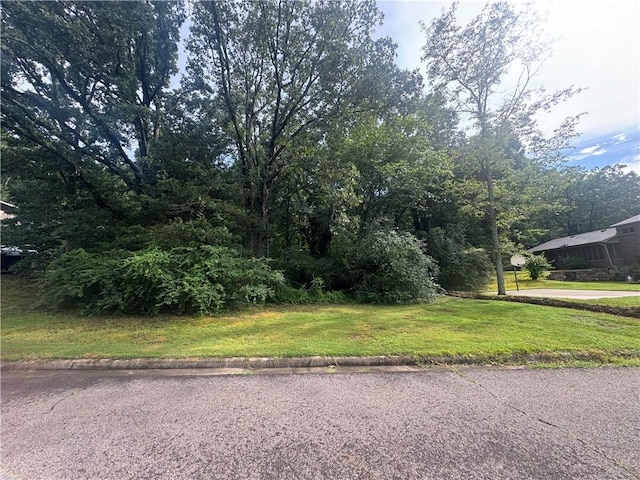 809 18th Ter, Russellville, AR 72801 - photo 3