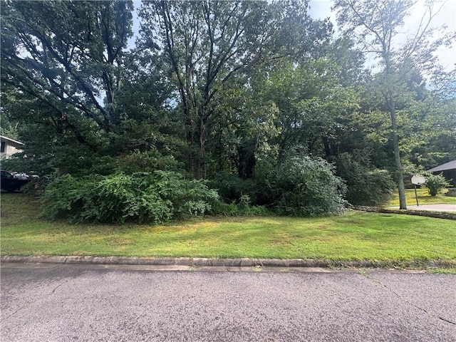 809 18th Ter, Russellville, AR 72801 - photo 5