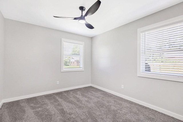 809 Carson Dr, Bentonville, AR 72712 - photo 24