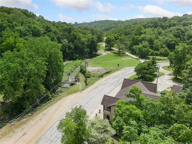 275 Devitos Loop, Harrison, AR 72601