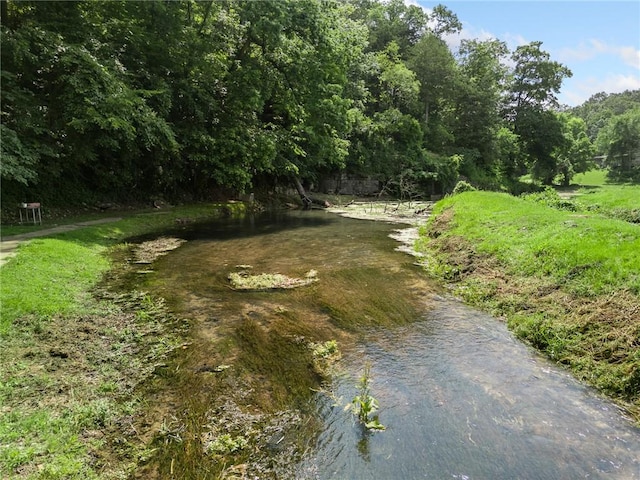 275 Devitos Loop, Harrison, AR 72601