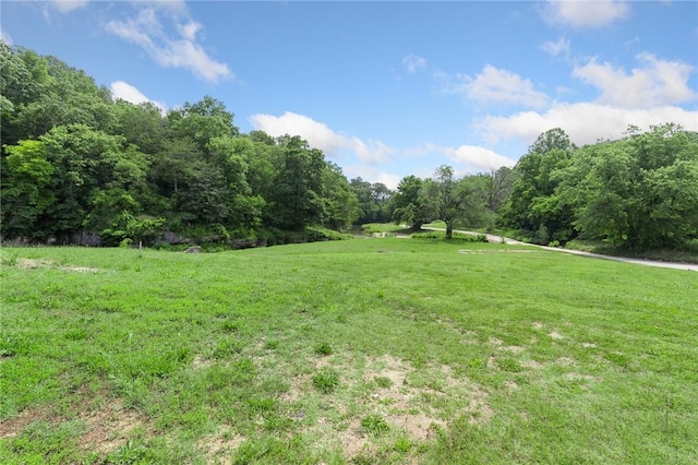 275 Devitos Loop, Harrison, AR 72601