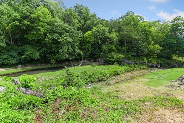 275 Devitos Loop, Harrison, AR 72601