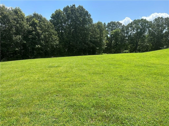1640 NC-4210, Western Grove, AR 72685 - photo 16