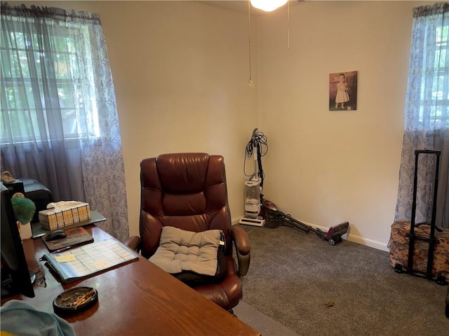 315 Glines Ct, Harrison, AR 72601 - office with carpet floors and baseboards