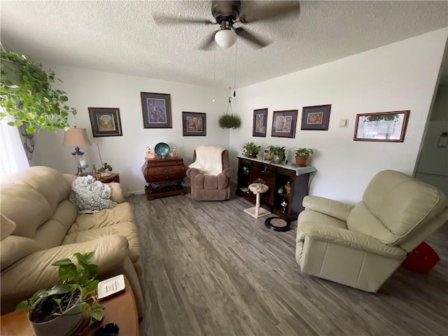 315 Glines Ct, Harrison, AR 72601 - living room with wood finished floors, ceiling fan, and a textured ceiling