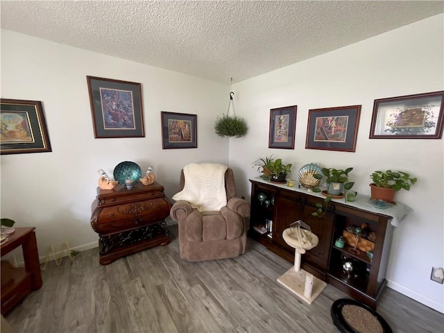 315 Glines Ct, Harrison, AR 72601 - living area featuring wood finished floors and a textured ceiling