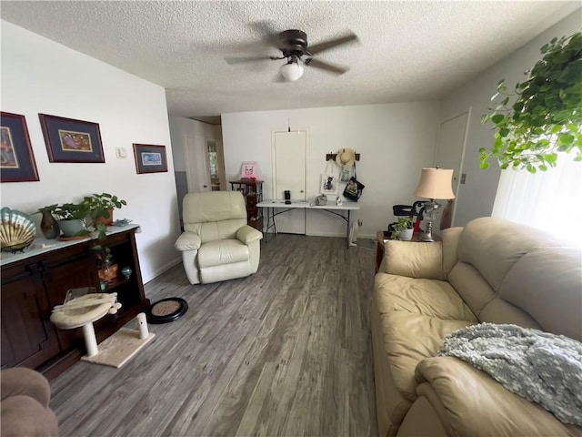 315 Glines Ct, Harrison, AR 72601 - living room with a ceiling fan, wood finished floors, and a textured ceiling