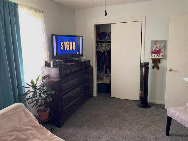 315 Glines Ct, Harrison, AR 72601 - carpeted bedroom featuring a closet