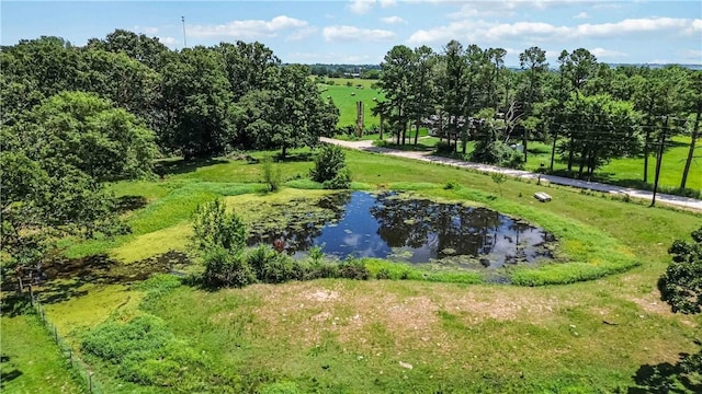 18040 E Holt Rd, Lincoln, AR 72744 - photo 10