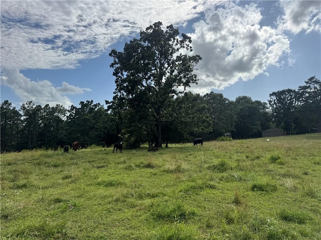 TBD NC-8216, Jasper, AR 72641 - photo 7