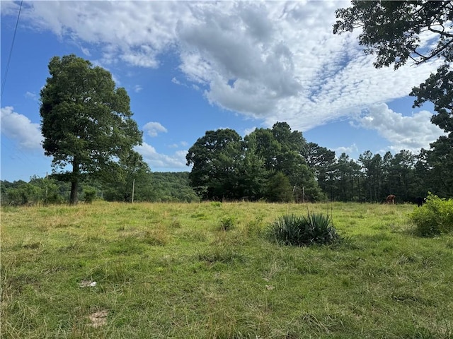 TBD NC-8216, Jasper, AR 72641 - photo 8